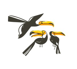 Hand drawn vector abstract cartoon summer time graphic decoration illustrations collection set art with exotic tropical rainforest toucan birds isolated on white background