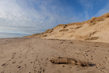 driftwood on a sandy beach in north devon, england