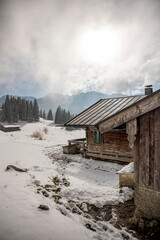 Berge mit Schnee und B&auml;umen in den Alpen