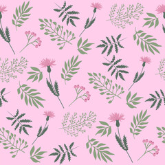 Seamless pattern with meadow flowers and plants. Editable vector illustration.