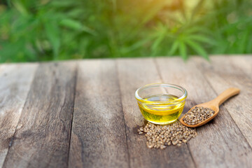 CBD hemp oil in a glass bowl, seeds in a wooden spoon, and oil extracted from hemp. Natural herbs used to treat disease. Alternative medicine.