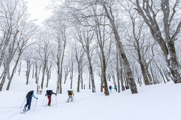 山スキー　雪山を行く　信州鍋倉山