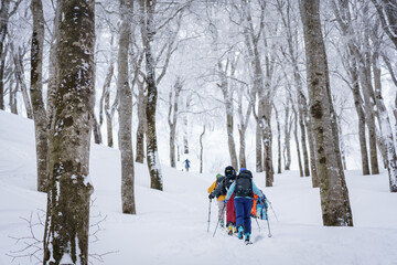 山スキー　雪山を行く　信州鍋倉山