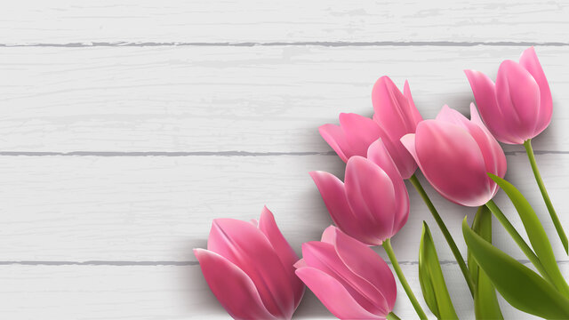 Pink tulip with wooden background template. Spring web banner. Pink flowers with realistic background. Vector illustration for ads, banner, mother's day, sale, promotion, discount. 