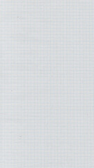 Checkered paper texture. Checked paper. Blank page