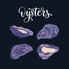 Seafood healthy nutrition product. Gourmet freshest oysters.