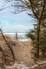 Path to the Beach