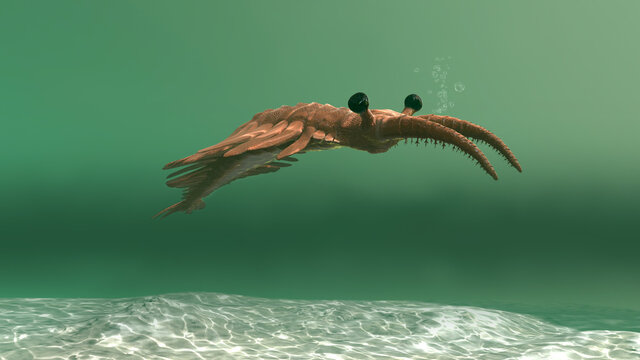 Anomalocaris In The Sea