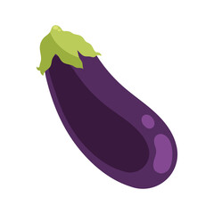eggplant fresh vegetable