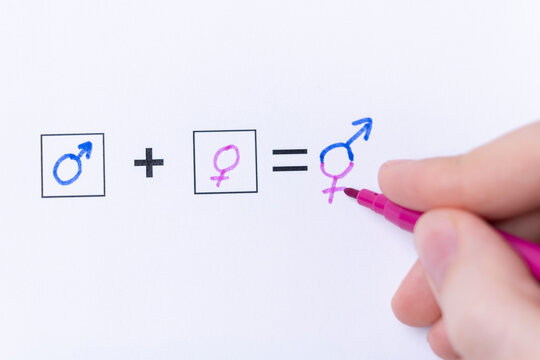 Women's Rights Are Equal To Men's. Gender Equality Concept, Hand With Pink Marker Solves Social Equation