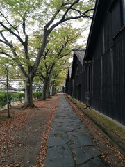 酒田市　山居倉庫