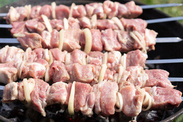 Step by step. Cooking pork shashlik on skewers on the grill. Step 1