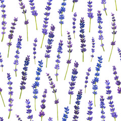 Watercolor lavender seamless pattern. Seamless pattern with flowers. Beautiful floral