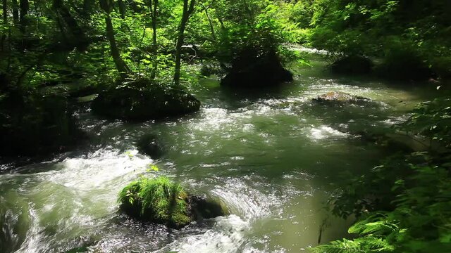 奥入瀬渓流 - 十和田八幡平国立公園