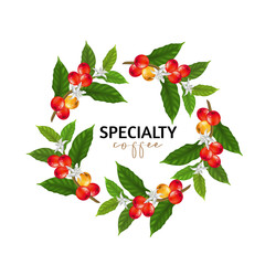 Vector illustration of Specialty coffee,  Branches of coffee tree with leaves and berry