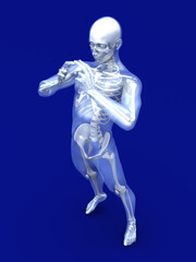 Male Human anatomy visualisation