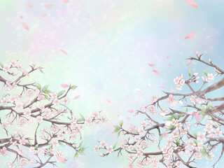Obraz na płótnie Canvas 桜と花びらの背景イラスト1/カラー背景