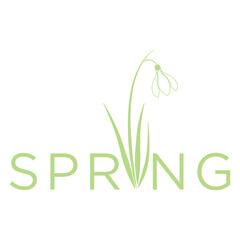 spring snowdrop flower