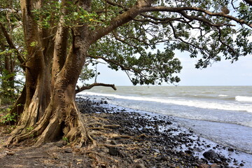 Paisajes y rincones de la isla de Ometepe, situada en el lago Cocibolca, en el sur oeste de Nicaragua