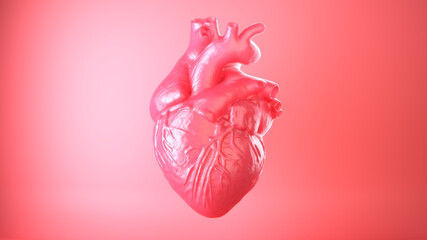 3D Rendering of a Human Heart, Macro 3-Point-Light