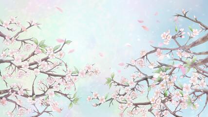 桜と花びらの背景イラスト2/カラー背景