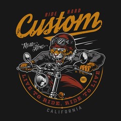 Obraz premium Vintage colorful motorcycle badge