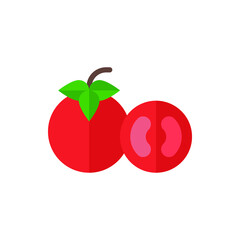 Tomato Flat Icon Logo Illustration Vector Isolated. Fruit and Healthy Food Icon-Set. Suitable for Web Design, Logo, App, and Upscale Your Business.