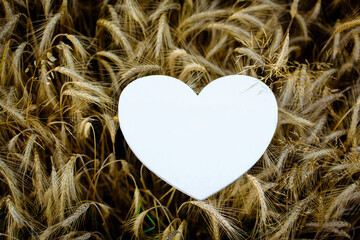 White heart shape over wheat crops filed. Religious symbol of the first holy communion. Love wheat,...