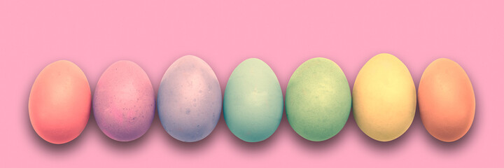 Pastel painted Easter eggs aligned in a row on pink panoramic background, Easter web banner