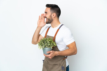 Gardener man holding a plant isolated on white background shouting with mouth wide open to the side