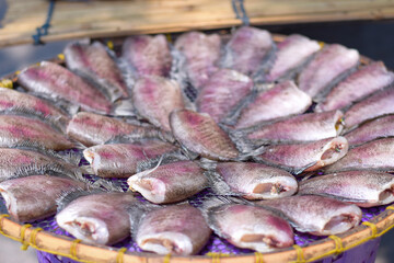 Gourami fish placed on a bamboo container.