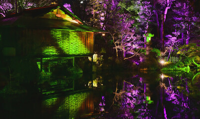 相楽園　日本庭園内のライトアップ　夜景
