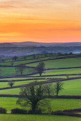 Fototapeta na wymiar Sunset of the Fields, Berry Pomeroy Village in Devon, England, Europe