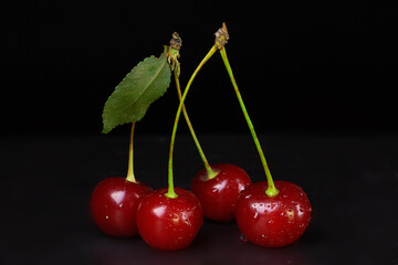 Four berries of a ripe red cherry are connected by a petiole in pairs.