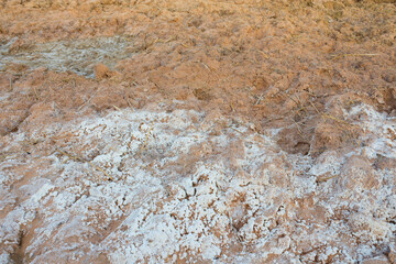 Salty soil