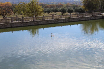 estanque con cisne en el Escorial