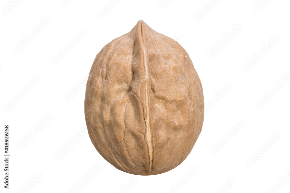 Poster walnut in shell isolated on white background
