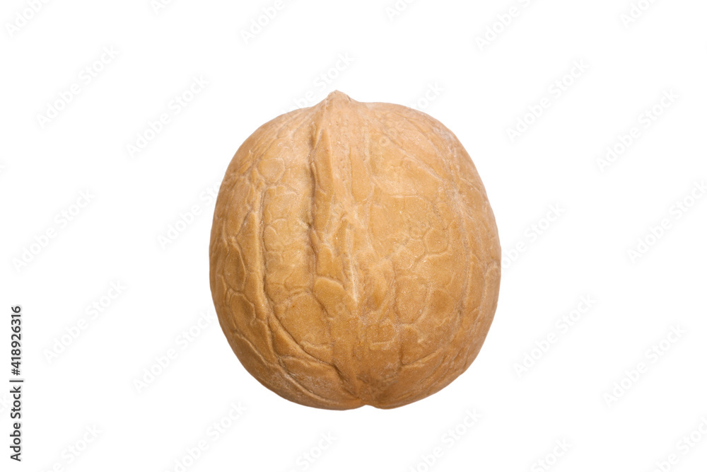 Poster walnut in shell isolated on white background