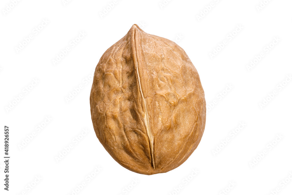 Poster walnut in shell isolated on white background
