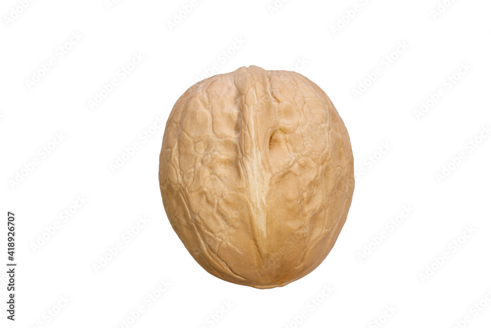 Poster walnut in shell isolated on white background