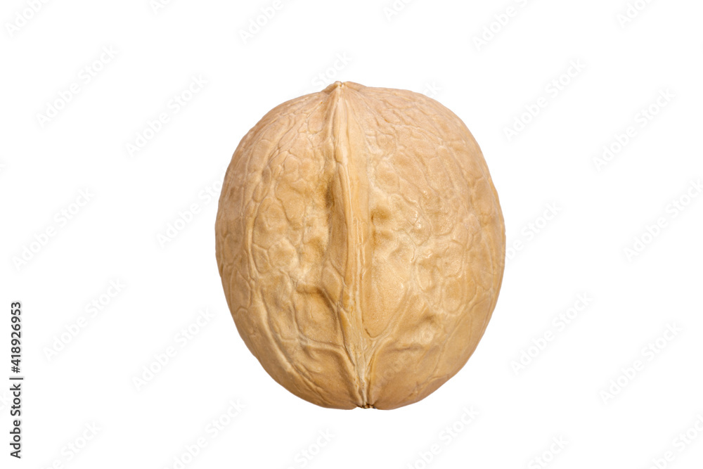Poster walnut in shell isolated on white background
