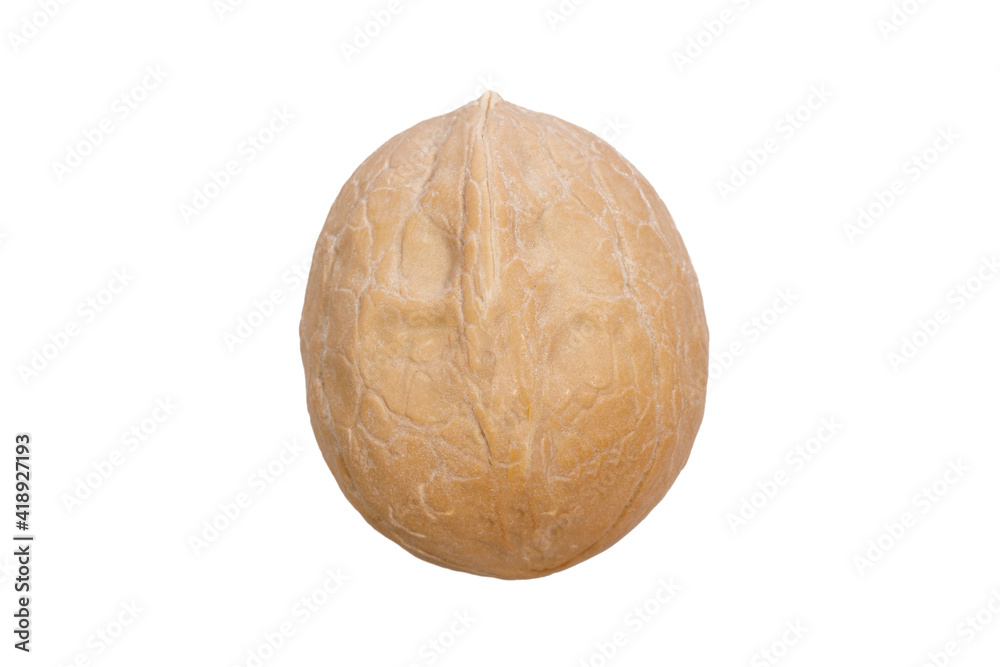 Poster walnut in shell isolated on white background