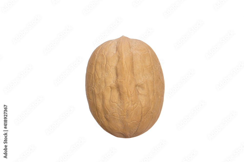 Poster walnut in shell isolated on white background