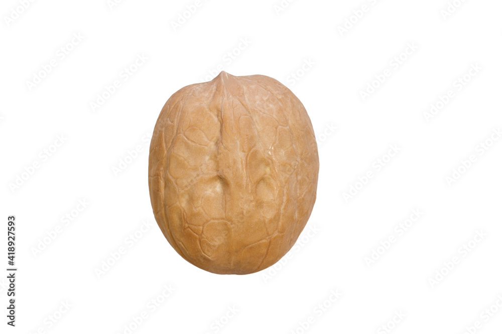 Poster walnut in shell isolated on white background