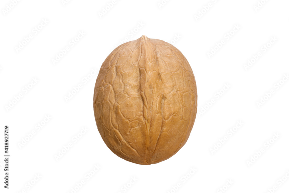 Poster walnut in shell isolated on white background