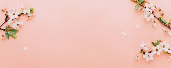 Sakura flower, spring blossom and April floral nature on pink background. Banner for 8 march, Happy Easter with place for text. Springtime concept. Top view. Flat lay.