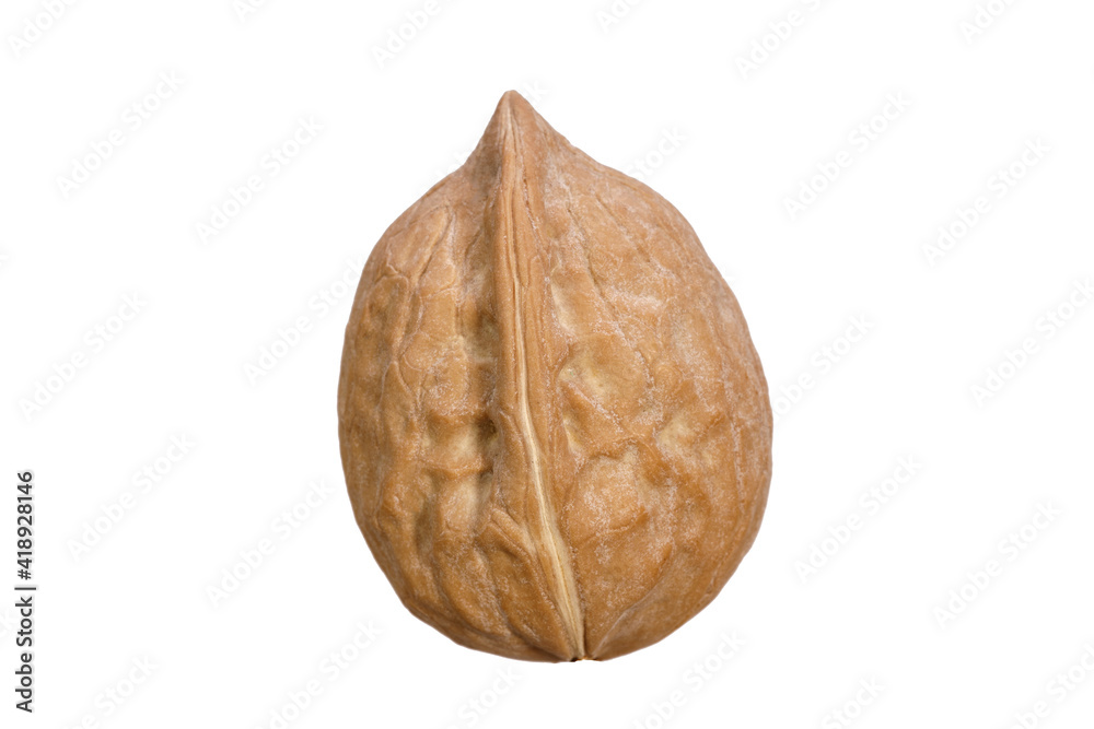 Aufkleber walnut in shell isolated on white background