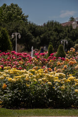 Fototapety na wymiar - Fototapeta24.pl