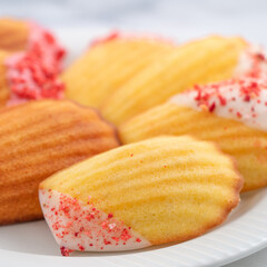 Delicious homemade chocolate dipped madeleine on white table background
