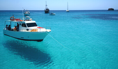 Fototapeta premium Transparent and blue water in the sea of Lampedusa at the beach of the Rabbits. The Pelagie Islands are the southernmost point of Italy in Sicily.
